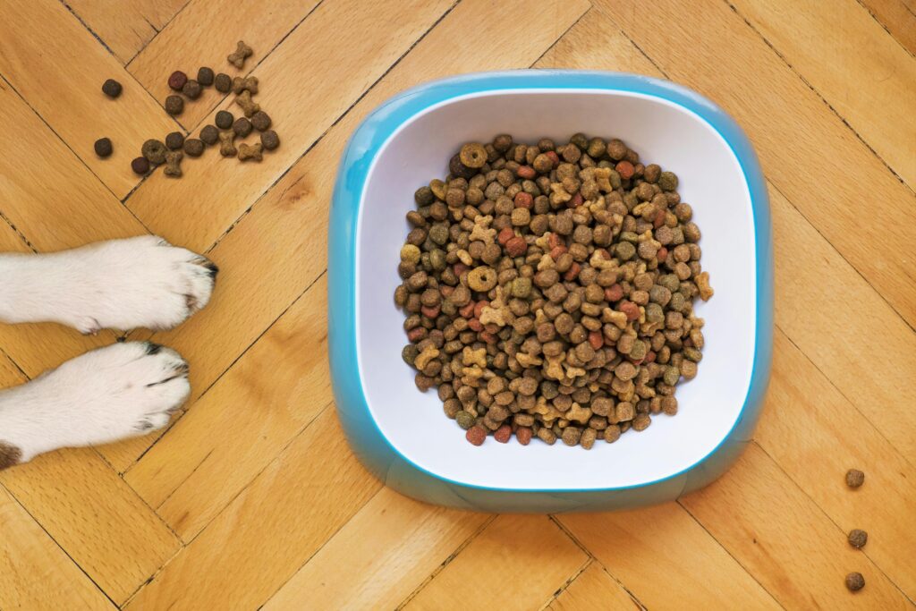Produkt für Hunde